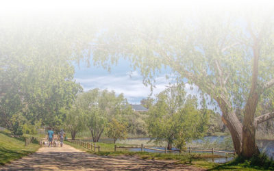 Winter Wonder Winelands in Stanford