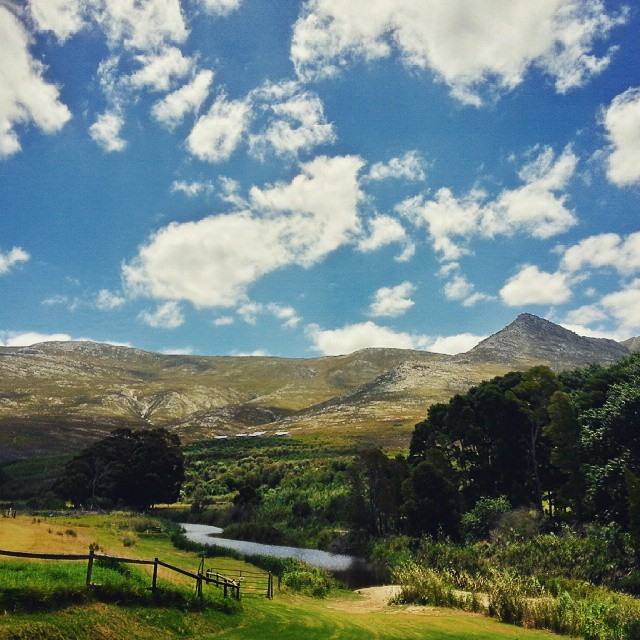 Klein River Cheese Farmstead