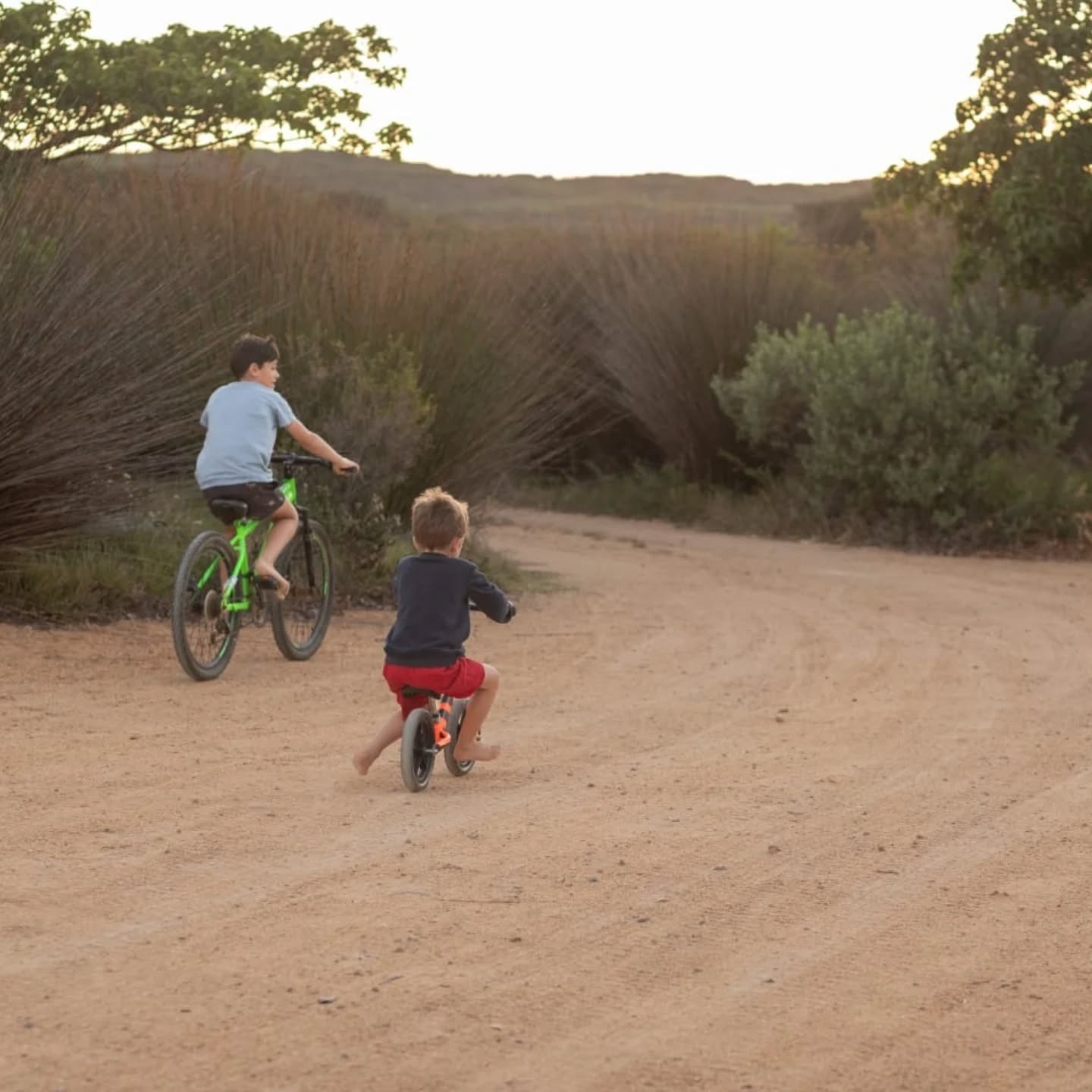 Reiersvlei Farm Lodge Self Catering