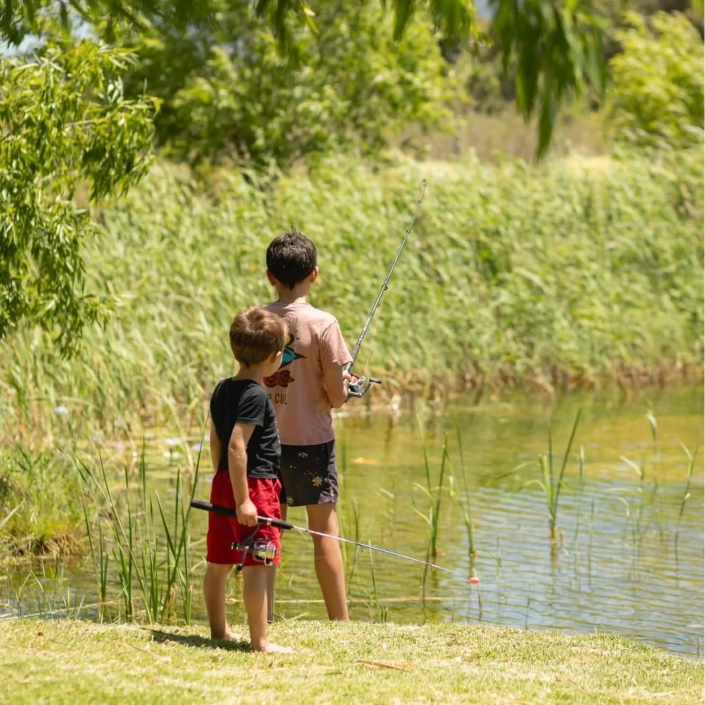 Reiersvlei Farm Lodge Self Catering