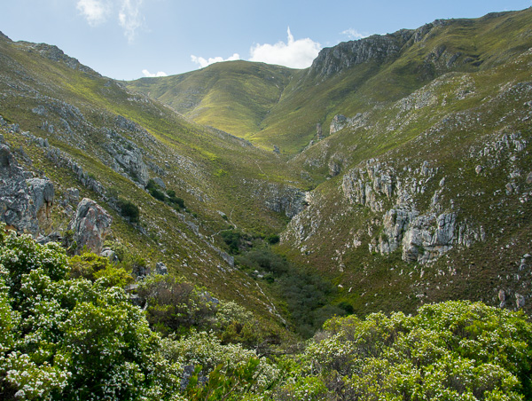 Phillipskop Mountain Reserve