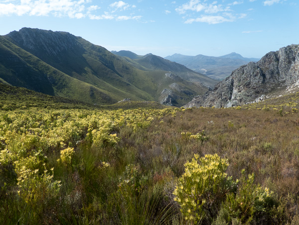 Phillipskop Mountain Reserve