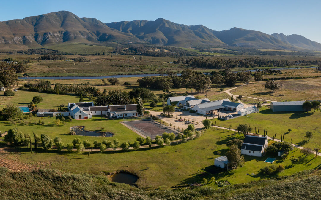 Springfontein Wine Estate
