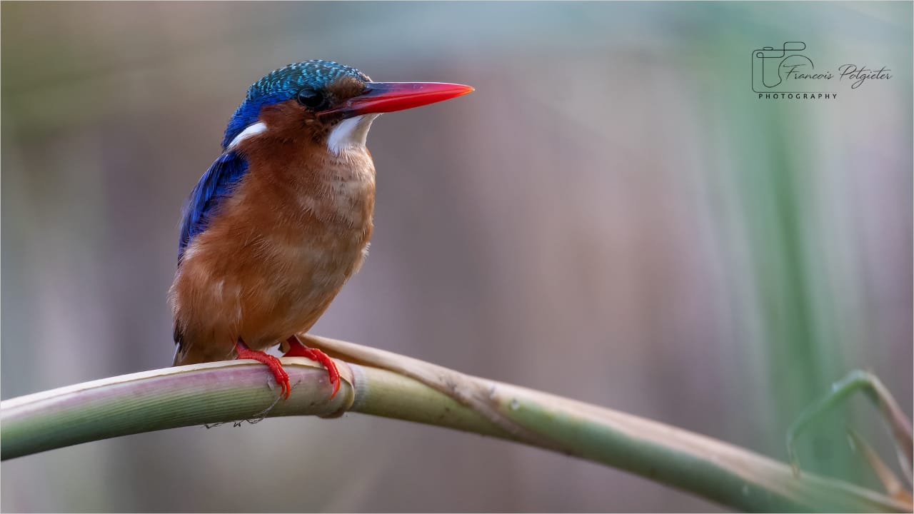 River Rat Boat Cruises