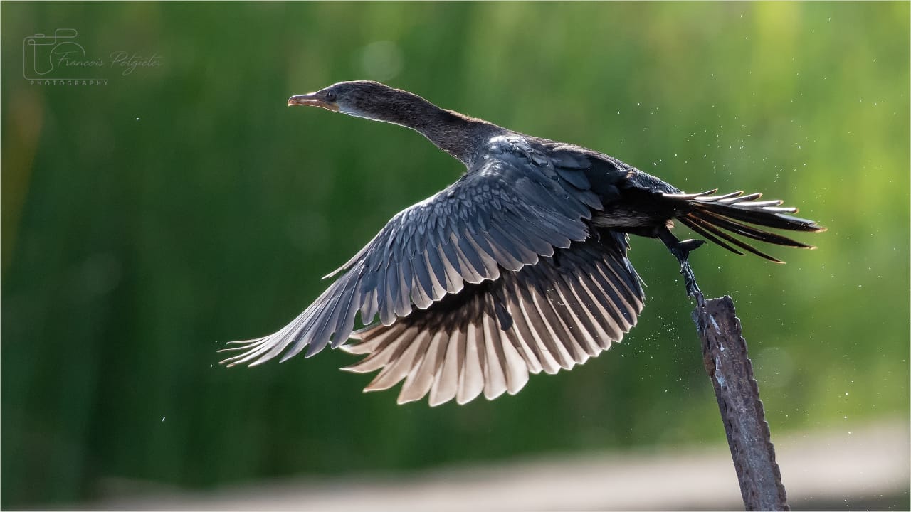 River Rat Boat Cruises