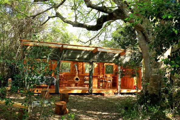 Platbos Forest Walks and Accommodation