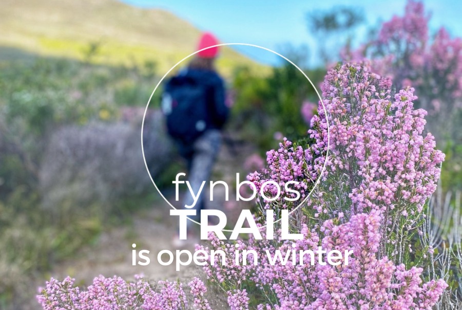 Fynbos Trail