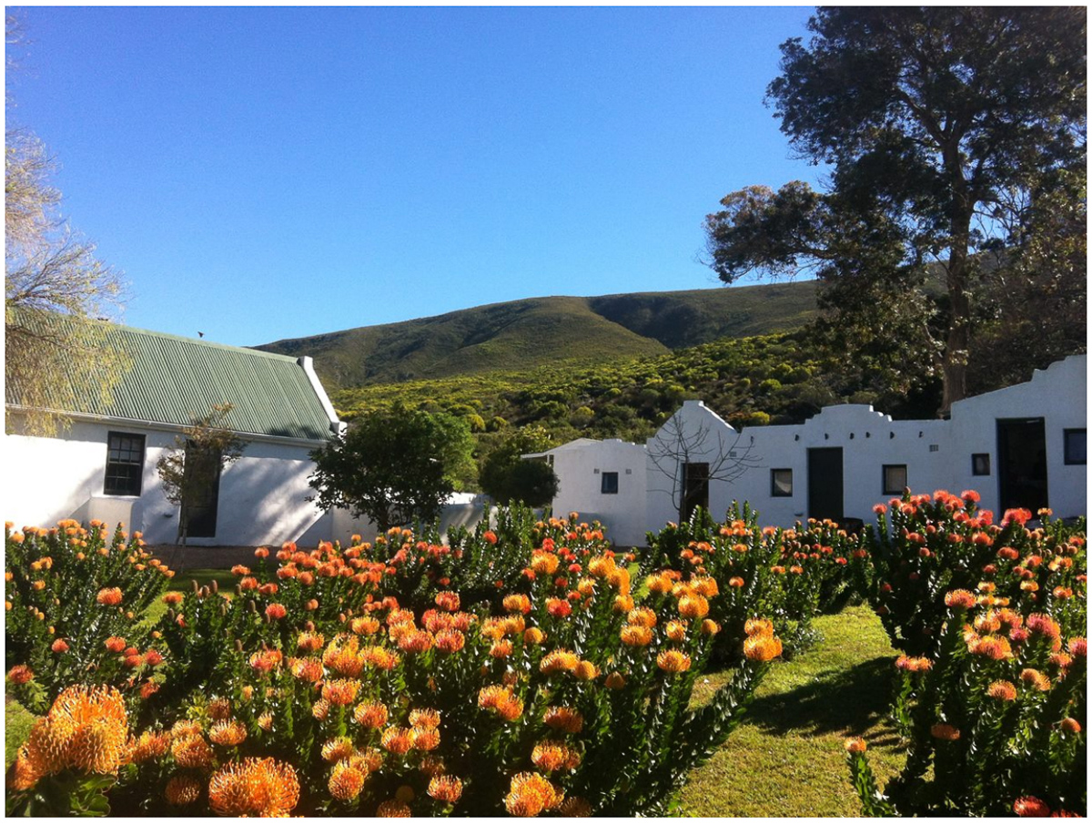 Bodhi Khaya Retreat