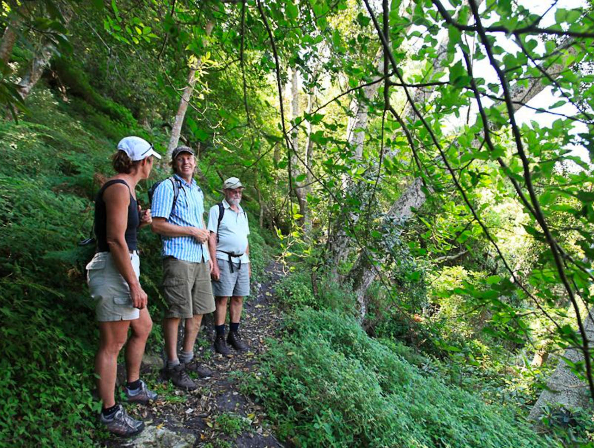 Fynbos Trail