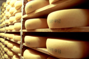 Cheese-Rounds-300x197