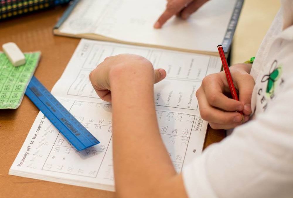 The Butterfly Centre