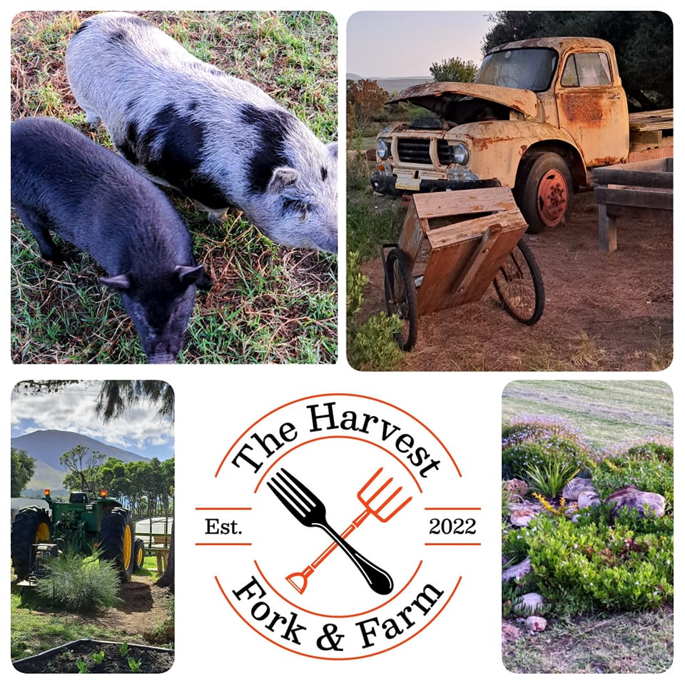 Fork and Farm