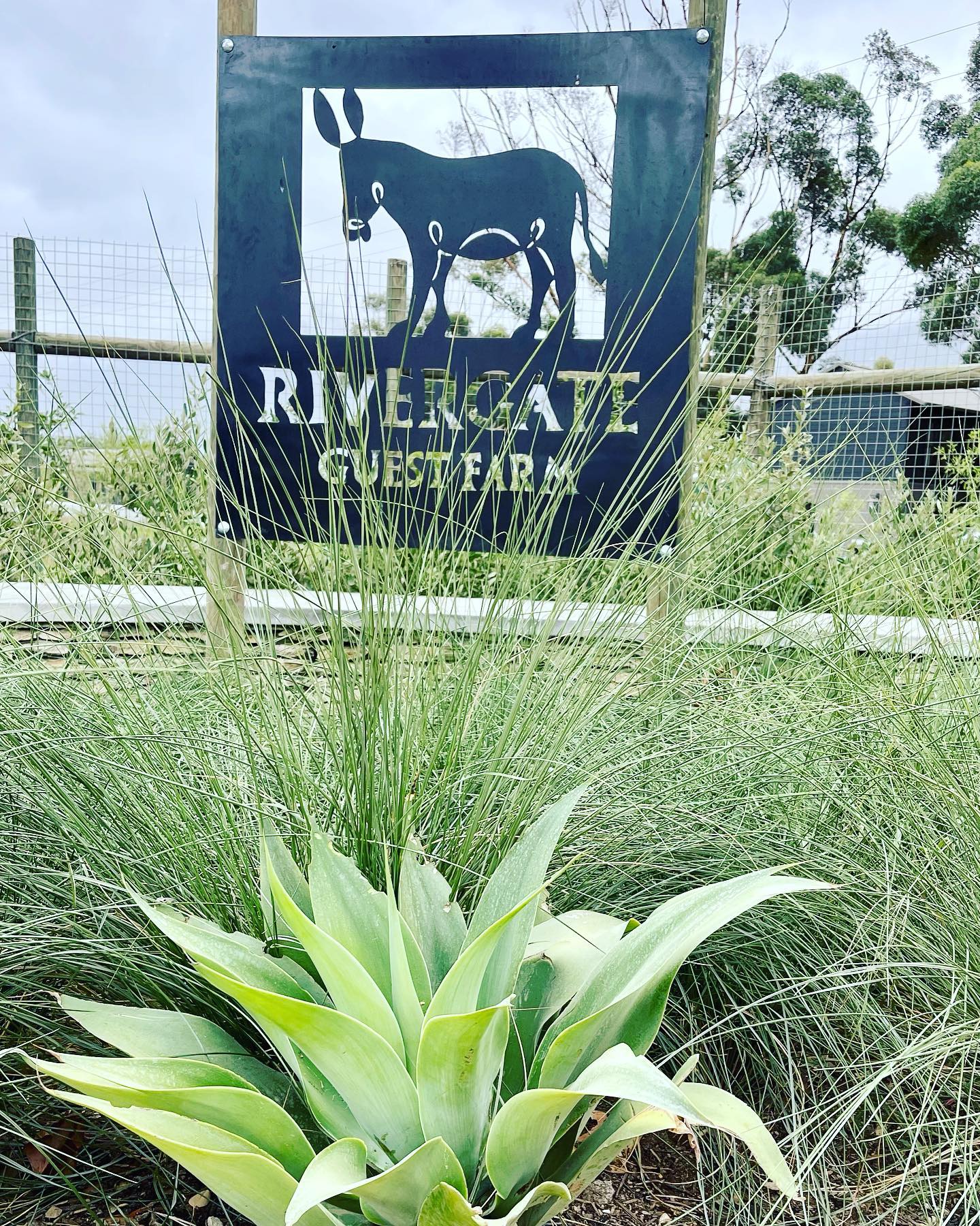 Rivergate Guest Farm