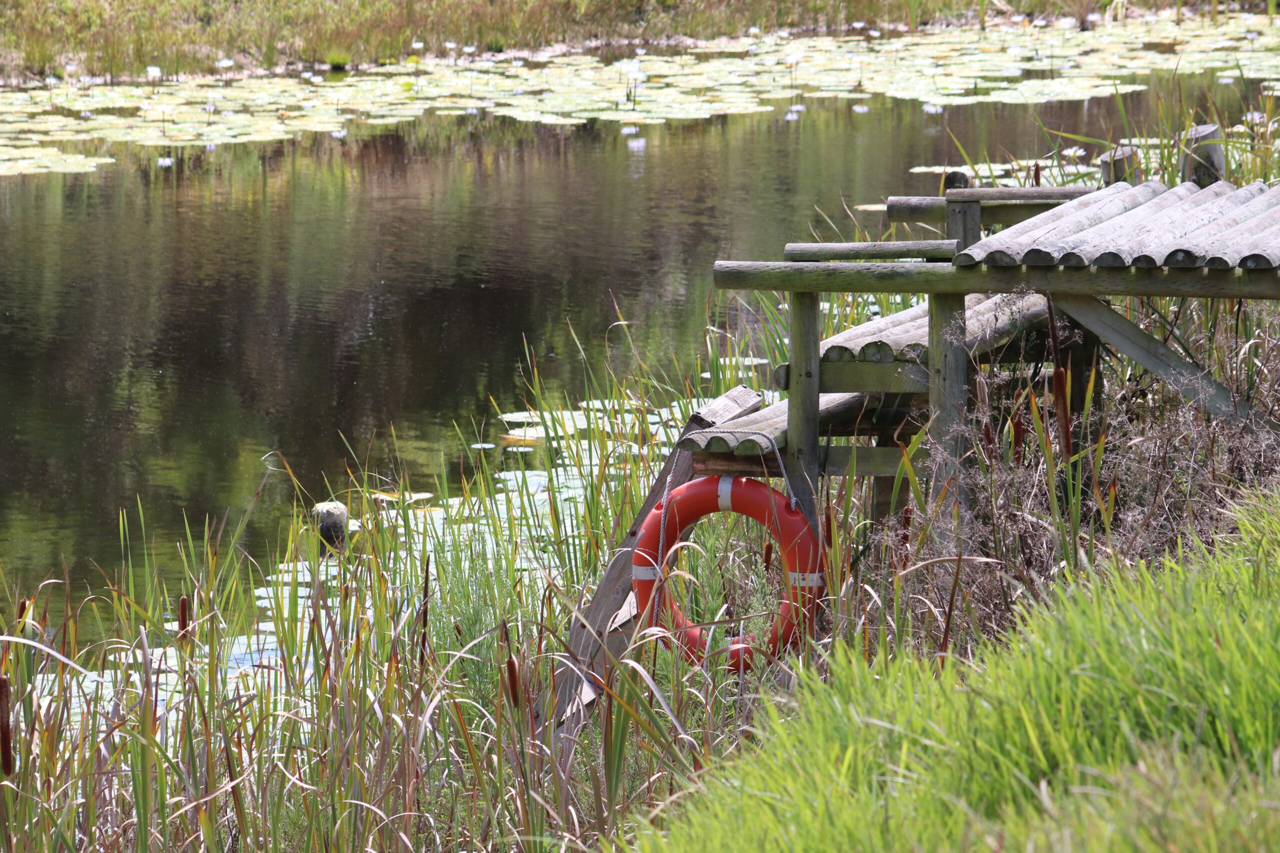 Grootbos Environmental Centre