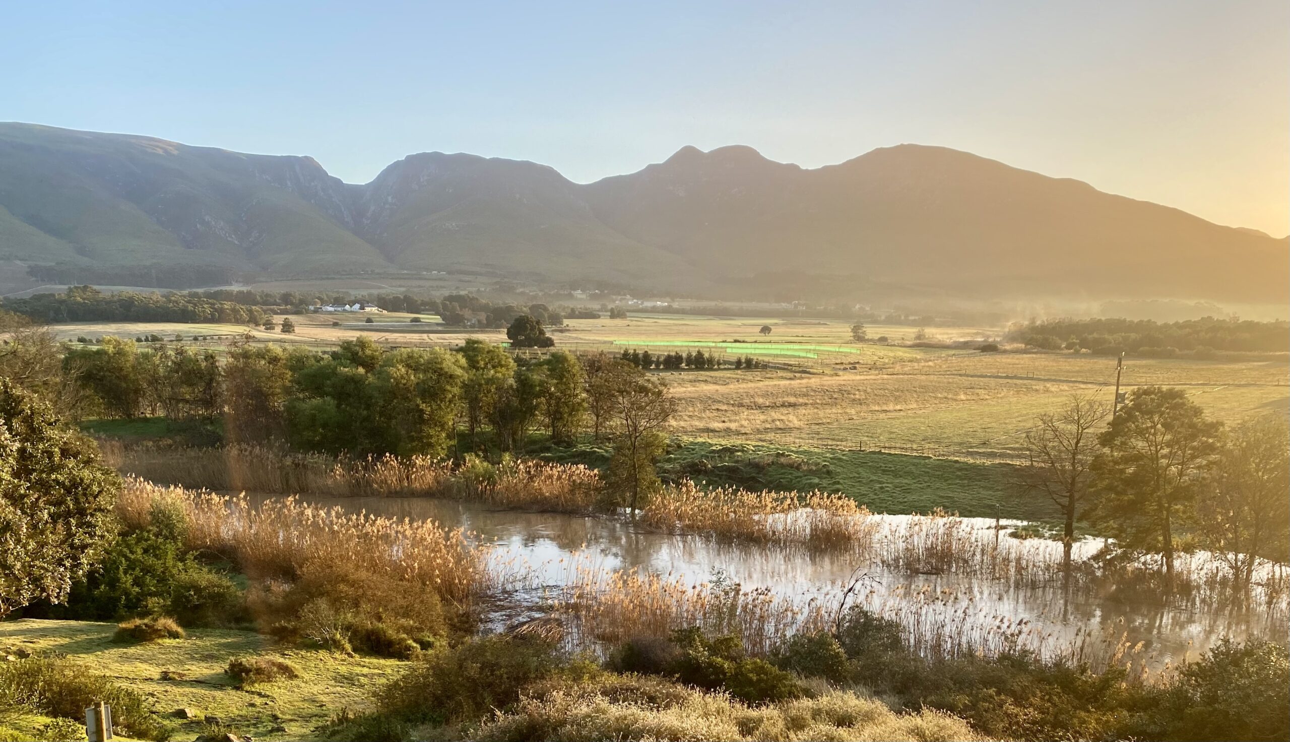 Riversong Wellness and Living