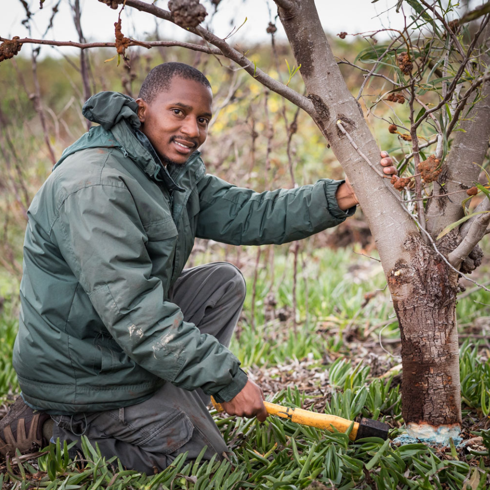 Grootbos Green Futures Foundation