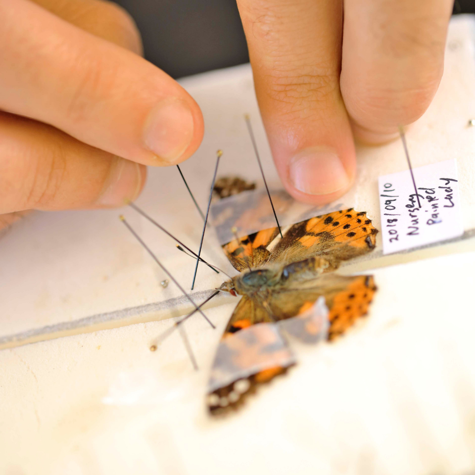 Grootbos Green Futures Foundation